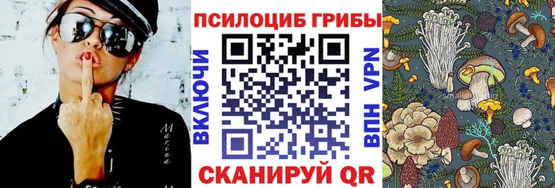 Псилоцибиновые грибы Psilocybe  Мегион 