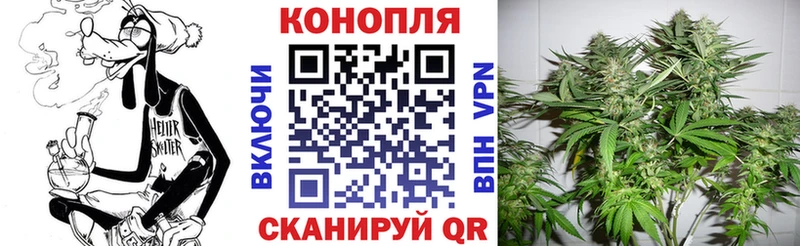 где продают   Мегион  Каннабис тримм 